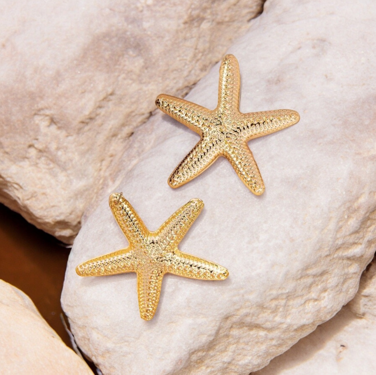 Starfish earrings